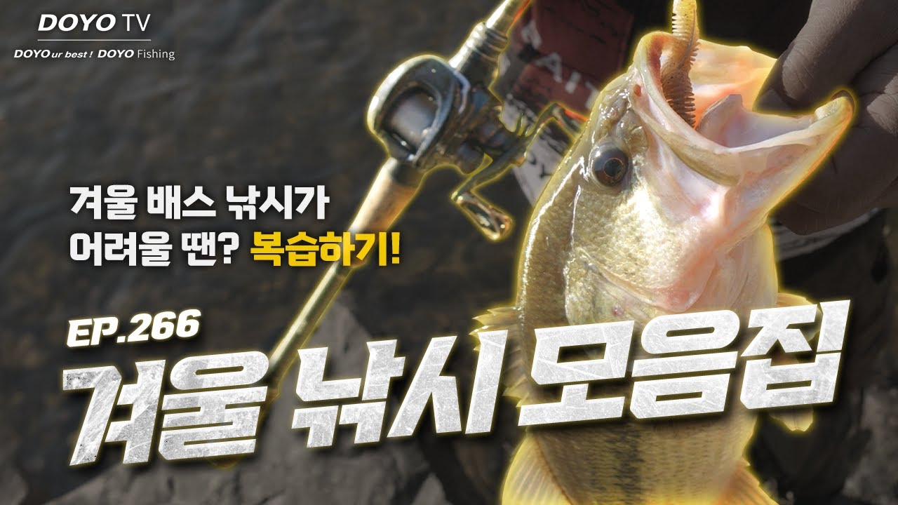 [도요TV ep.266] 겨울 배스를 마릿수로 낚는 방법이 뭐였더라...??🤔