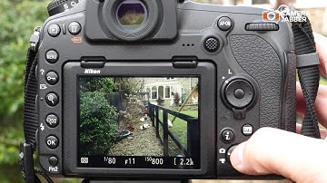 How to set up the Nikon D850 Silent Live View Photography mode