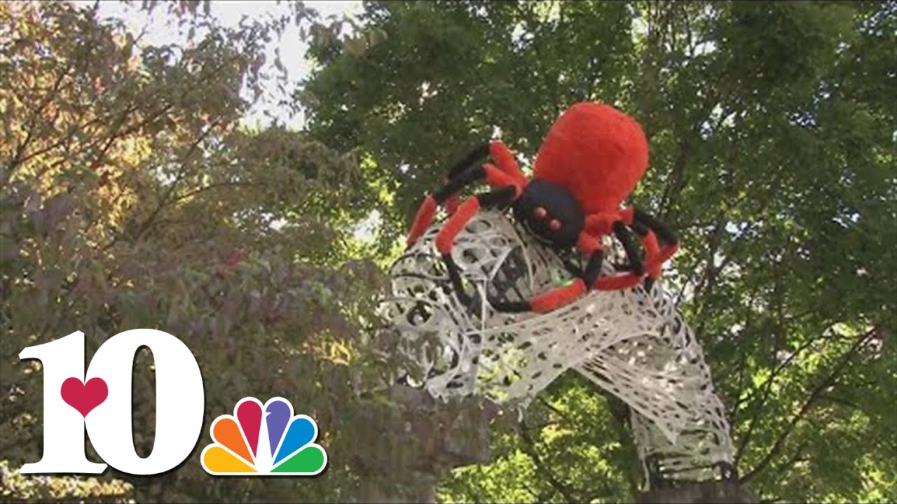 Fall events happening in East Tennessee