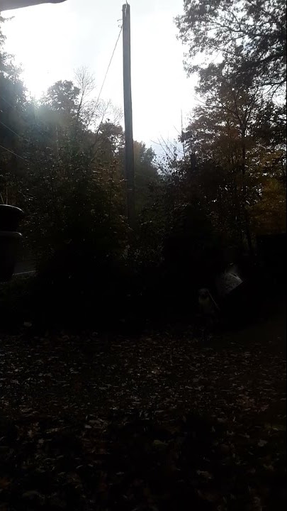 sounds of rain