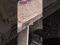 Unique tile laying job with simple trowel tool #shorts