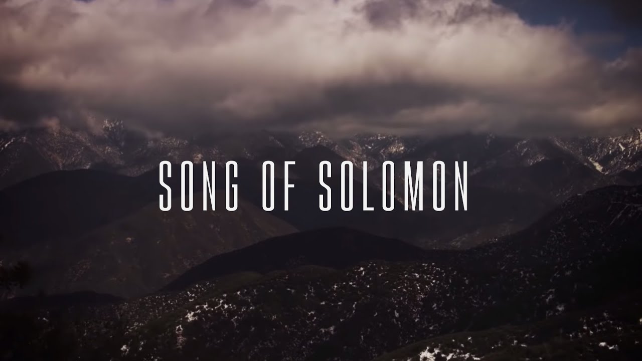 Song of Solomon Official Lyric Video   Martin Smith