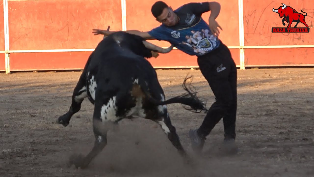 VII Charro de Oro. Segunda eliminatoria Castellano de Oro. Santa Marta de Tormes. 23 Julio 2022