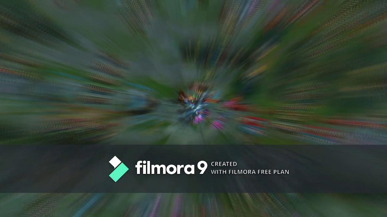 best master yi montage 2019