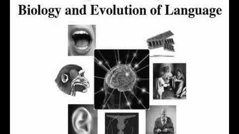 Tecumseh Fitch  "Core Knowlege : The view from Cognitive Biology" , Nias/Lorentz Workshop