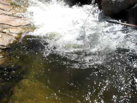 Gold Mining Southern California (Serenity Renee 3)