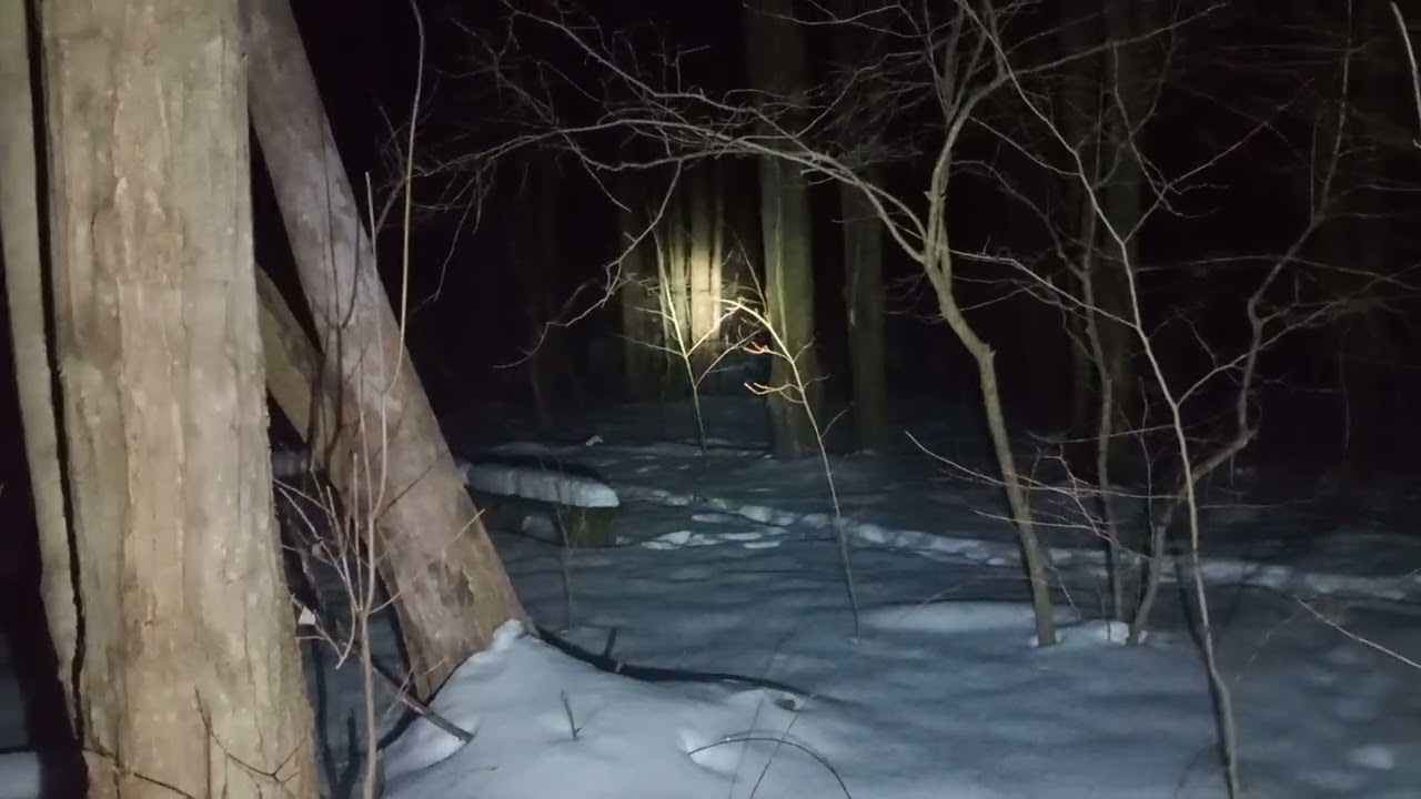 This is the second video do you see anything cuz I'm hearing things