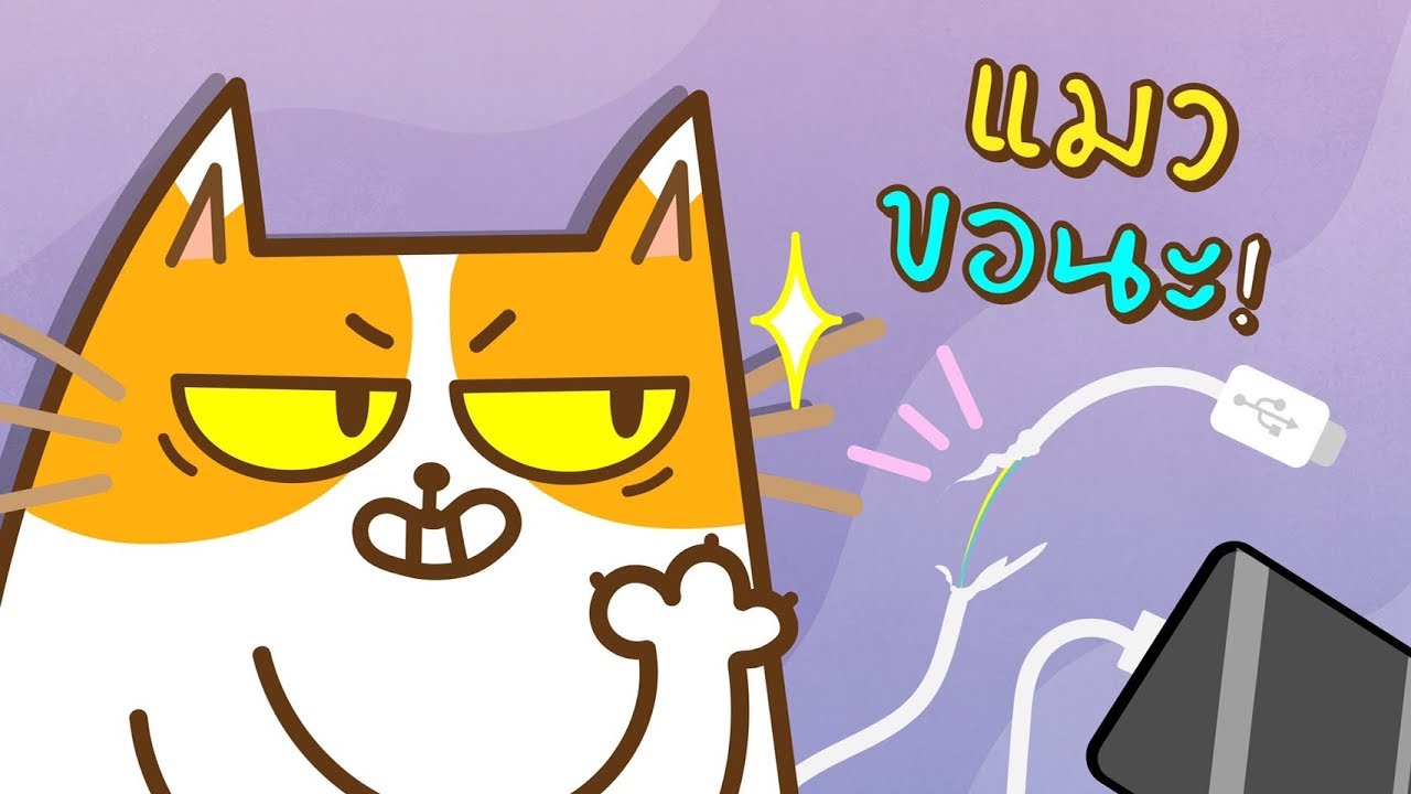 video editing software free สุดยอดของเล่นชิ้นโปรดเจ้าเหมียว ที่ทาสแมวรู้จักกันดี | Fuwa Fuwa