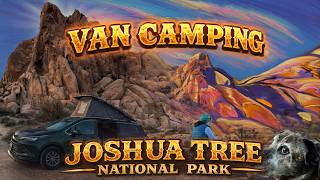 Indian Cove, Joshua Tree National Park, California/minivan camping+art desert road trip