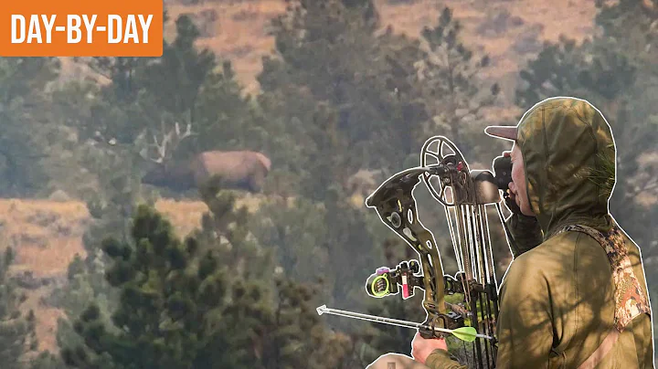 Stalking Multiple Big Bull's | Montana Archery Elk...