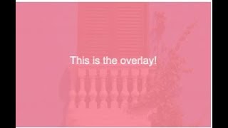 Image Overlay Fade in html-css || HTML-CSS