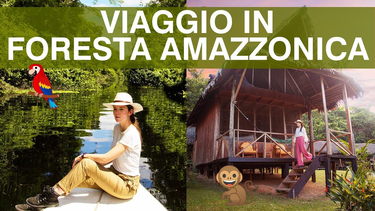 Foresta Amazzonica: tour in Amazzonia tra animali pericolosi, avventura, adrenalina e pura MAGIA!!!