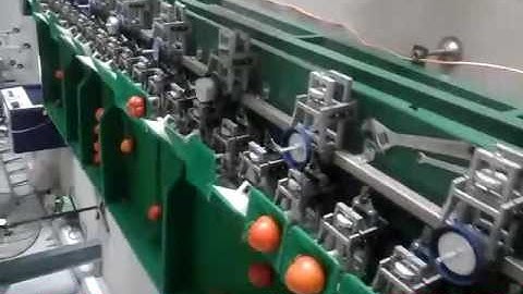 Automatic fruit and vegetable grading system fruit grading and sorting machine