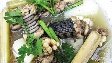 Siêu Phẩm- Làm Rắn Con Hổ Mang   Hầm Củ Cải Trắng Đỏ Và Cái Kết Bất Ngờ