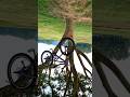 Ped par cycle! Aisa kabhi dekha hai kуa#shorts#viral#trending#bicycle #cycle#tree#funny#viralvideo
