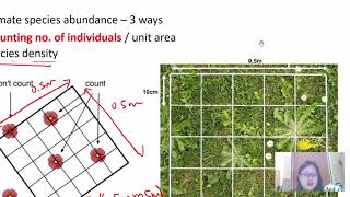 Chap 18 (Part 2b) Estimating Species Abundance | Cambridge A-Level 9700 Biology