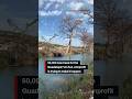 50,000 new trees for the Guadalupe River? A San Antonio nonprofit is trying to make it happen.