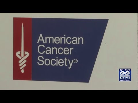 What percent of donations go to the american cancer society?