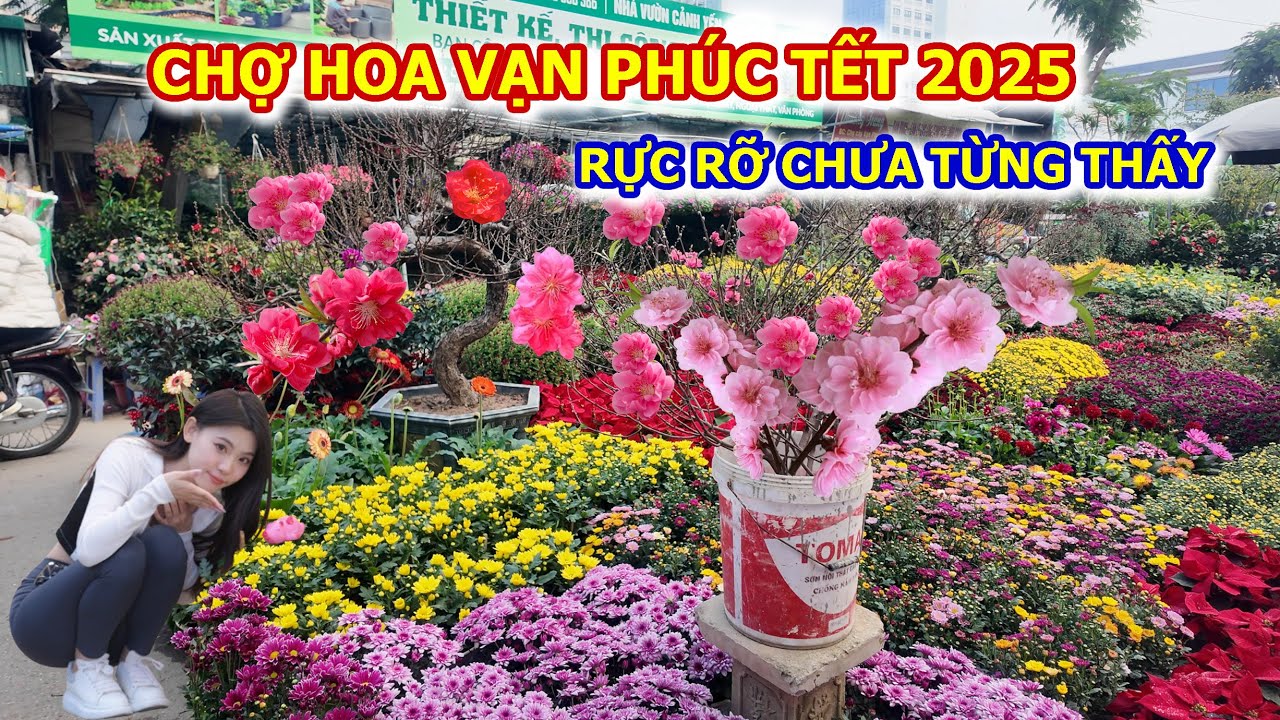 CHỢ HOA VẠN PHÚC RỰC RỠ HOA TẾT 2025 DU KHÁCH ĐỔ VỀ ĐÔNG NGHỊT