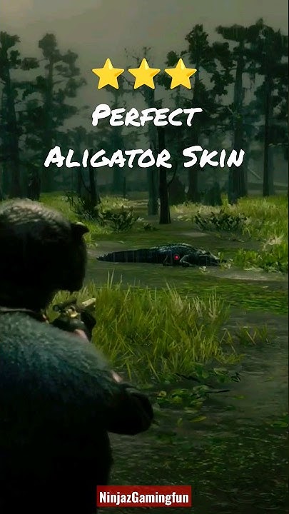 How To Get Perfect Alligator Skin Rdr2 RDR 2 - How To Get Perfect Aligator Skin #shorts #rdr2 #ninjazgamingfun