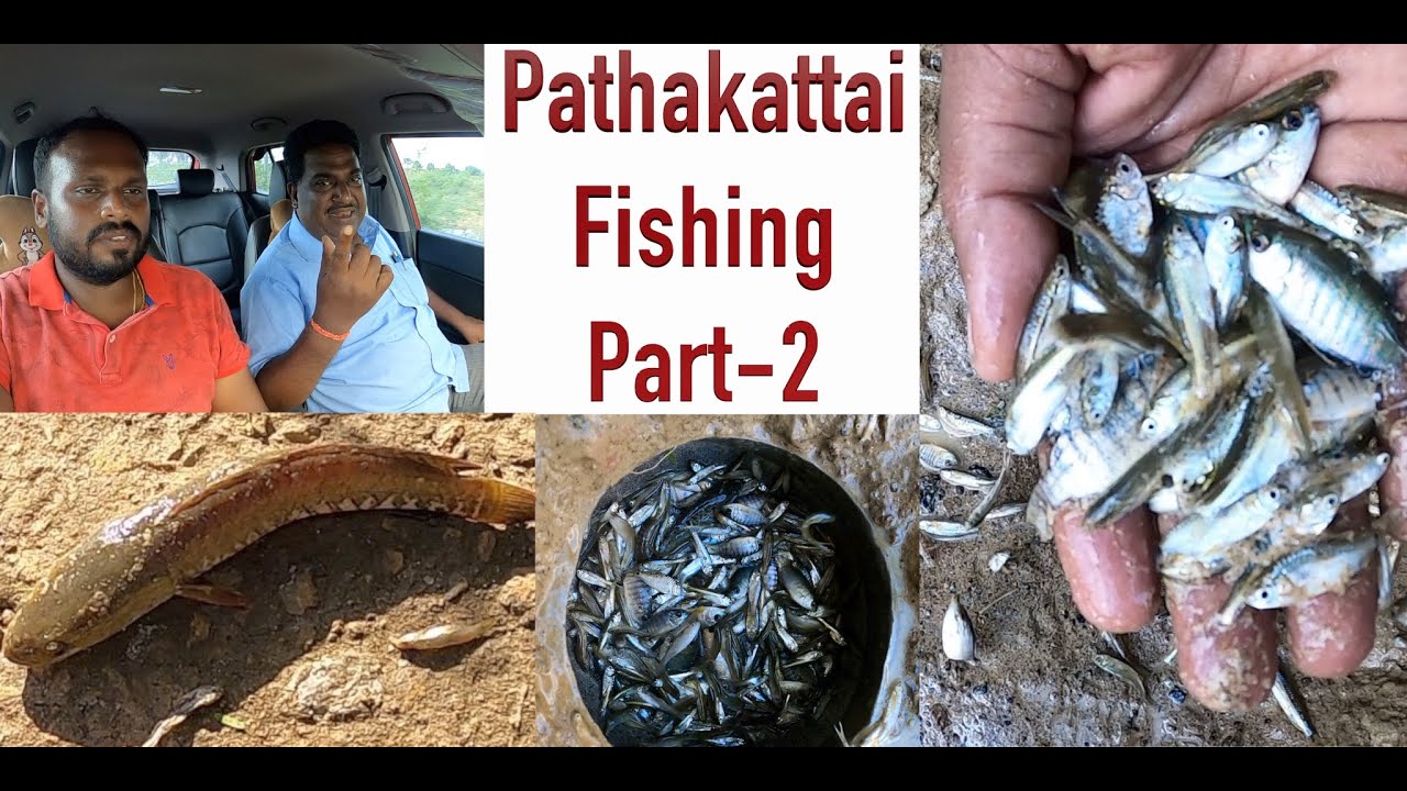 Simple Village Fishing Tamil Pathakattai fishing Tamilnadu Fishing