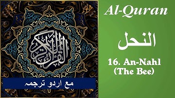 Al Quran Surah # 16 An-Nahl with text and Urdu Translation سورة النحل مع اردو ترجمہ