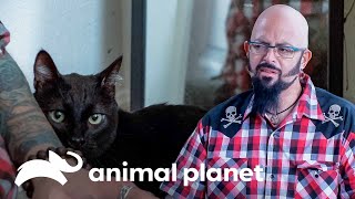 Jackson ayuda a madre e hija con su gato problemático | Mi gato endemoniado | Animal Planet