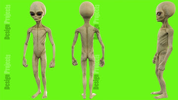 Alien salute. Loopable animation on green screen. 4k.