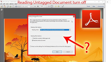 Reading Untagged Documents in Adobe Reader | Error | 100% working