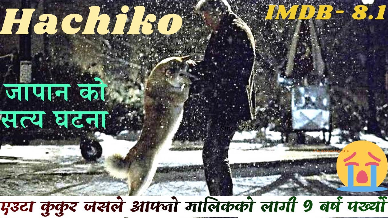 Hachiko movie Explained in nepali (very emonational true story