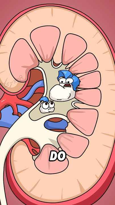 Why does urination cause a stinging sensation?#shorts