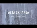 Alta Ski Area Utah January 11 2025 Ski Skiing Snowfall Snowstorm Storm Alta Ski Area Utah January 11 2025 Ski Skiing Snowfall Snowstorm Storm