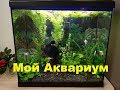 Мой аквариум - травник 90 литров. (My aquarium is 90l)