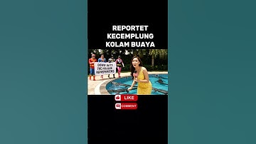 Reporter kecemplung kolam buaya #videolucu #videoviral #ai