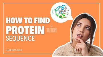How to Find a Protein Sequence Using UniProt? | Affordable Tutor