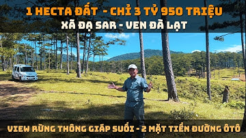 1 HECTA đất chỉ  3 tỷ 950 - View rừng thông giáp suối, 2 mặt tiền đường ôtô, Xã Lạc Dương - Đà Lạt