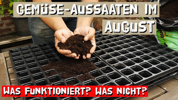 Sow in August - these vegetables should be sown now before it is too late.
