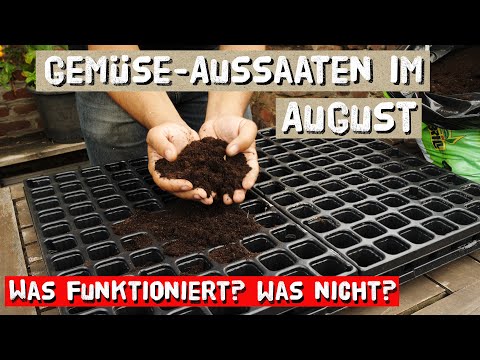 Video: Was Im August Im Garten Und Gemüsegarten Zu Tun Ist