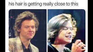 One Direction Memes To Make You Laugh By Morgan Memes770