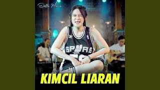 Kimcil Liaran