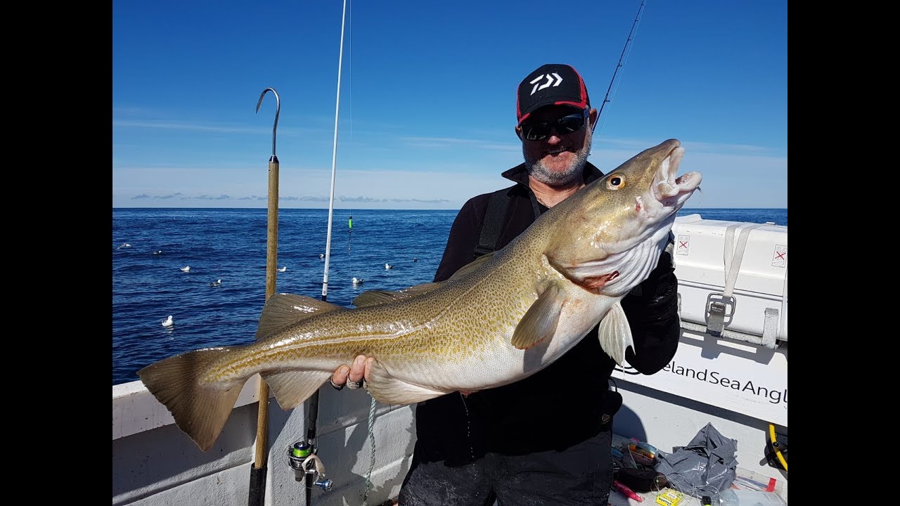 Рыболовство в исландии Рыболовство в исландии