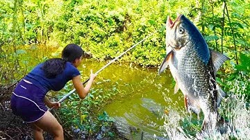 Khi đang câu một con cá biển khổng lồ, cô suýt bị con cá khổng lồ kéo xuống nước!