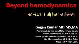 Beyond Hemodynamics | HIF 1 alpha pathway