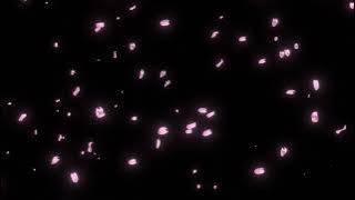 Powerful Multiple Intense Orgasm | Hands Free HFO Binaural Beats | Sound Therapy