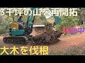３千坪の山を再開拓 巨木伐根　新築基礎 生コン打ちで大混乱