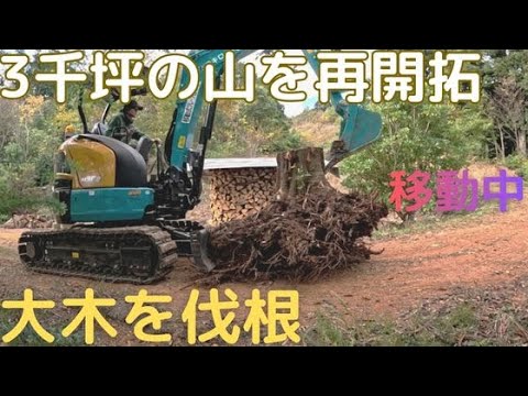 Revitalizing a dilapidated site 6] ~Part 1~ We worked with a