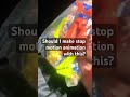 Should I make stop motion animation with this?