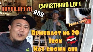 20 kalapati galing sa Capistrano loft+introducing Ivana Lines+JAX Florida racing pigeons