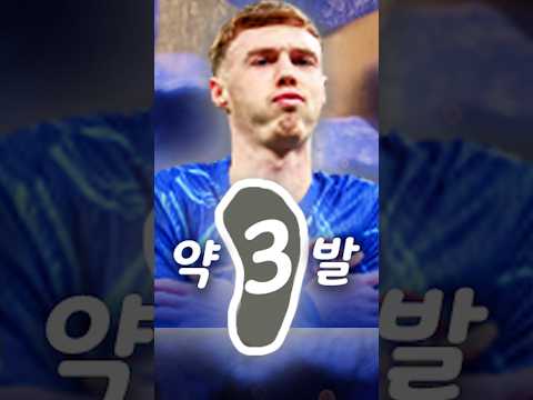 25토티 파머 유일한 약점