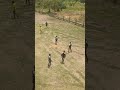 Live highlight